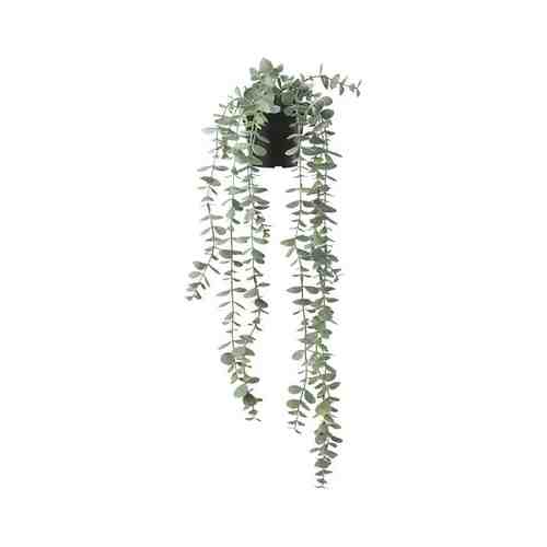 Искусственное растение в горшке, д/дома/улицы подвесной/эвкалипт, 9 см FEJKA ФЕЙКА арт. 50466812
