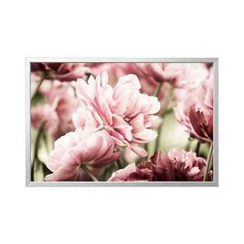 Картина с рамой, светло-розовые тюльпаны/цвет алюминия, 118x78 см BJÖRKSTA БЬЁРКСТА арт. 59416728