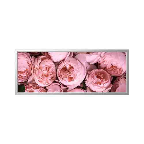 Картина с рамой, Розовый пион/цвет алюминия, 140x56 см BJÖRKSTA БЬЁРКСТА арт. 9297836