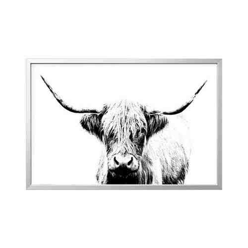 Картина с рамой, Шотландская корова/цвет алюминия, 118x78 см BJÖRKSTA БЬЁРКСТА арт. 69416515