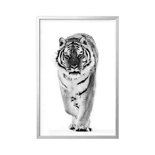 Картина с рамой, тигр/цвет алюминия, 78x118 см BJÖRKSTA БЬЁРКСТА арт. 69416898