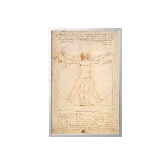 Картина с рамой, Витрувианский человек/цвет алюминия, 78x118 см BJÖRKSTA БЬЁРКСТА арт. 9384777