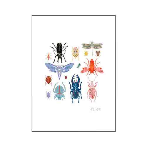 Постер, Яркие жуки, 50x70 см BILD БИЛЬД арт. 30512730